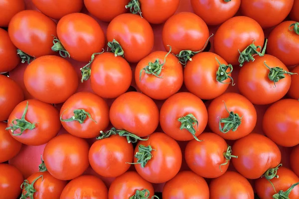 Pomodori maturi sul bancone — Foto Stock