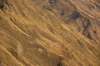 Ekim 'de Rusya dağlarında. Krasnaya Polyana yakınlarındaki Kafkasya Biyosfer Rezervi 'nde gezinti.