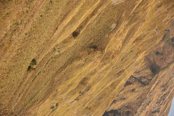 Ekim 'de Rusya dağlarında. Krasnaya Polyana yakınlarındaki Kafkasya Biyosfer Rezervi 'nde gezinti.