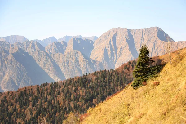 Ekim 'de Rusya dağlarında. Krasnaya Polyana yakınlarındaki Kafkasya Biyosfer Rezervi 'nde gezinti.