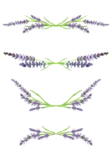 watercolor lavender branches, design elements, illustration