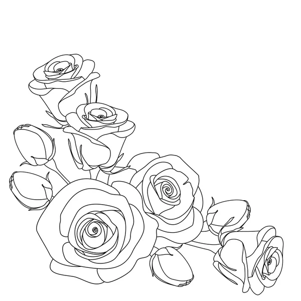 玫瑰，单色插图，着色页 — 图库矢量图片