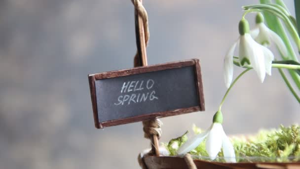 こんにちは春コンセプト — ストック動画