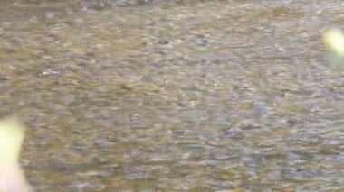 Akan su. Saf temiz su.