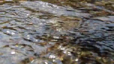 Vahşi bir dere üzerinde el.