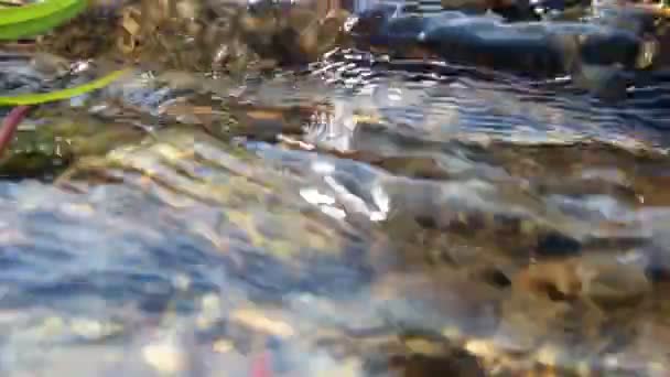 Agua que fluye. Agua dulce pura . — Vídeos de Stock