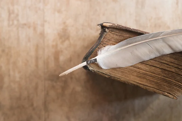 Palabra Idea, pluma y libro viejo — Foto de Stock