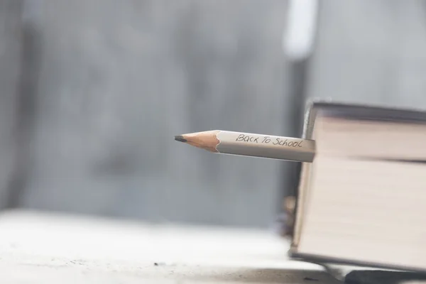 De vuelta a la escuela idea — Foto de Stock