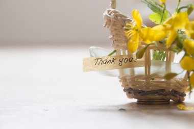 teşekkür ederim fikir