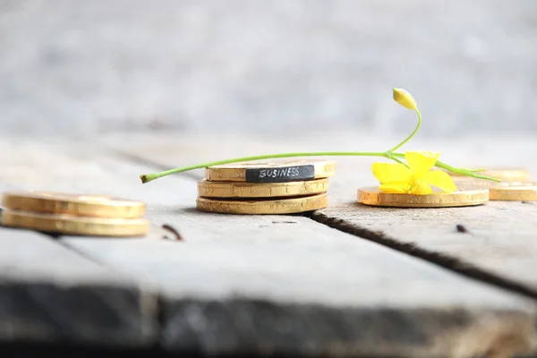 Texto comercial e moedas — Fotografia de Stock