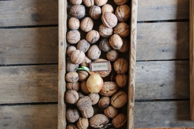 Sağlıklı fikir yemek