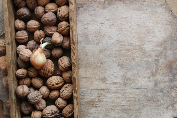 Voedsel achtergrond, verse walnoten in een houten doos — Stockfoto