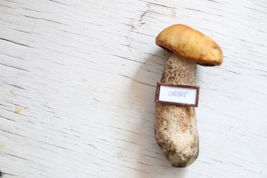 Organik gıda fikir, masanın üzerinde yabani mantar.