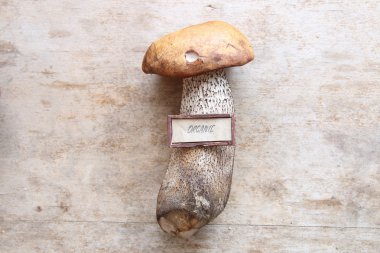 Organik gıda fikir, masanın üzerinde yabani mantar.