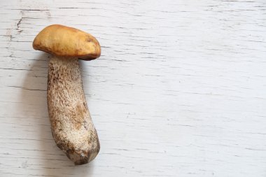 Masanın üzerinde yabani mantar