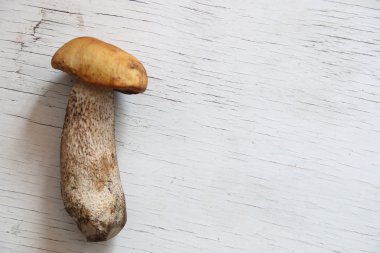 Masanın üzerinde yabani mantar