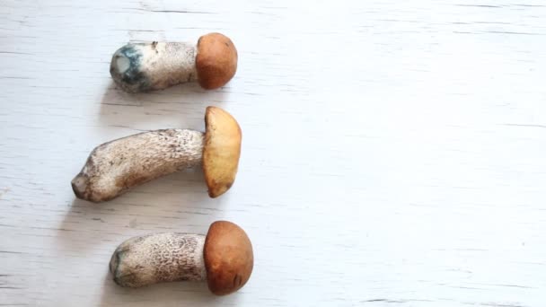 Wild mushrooms on the table — Stock Video