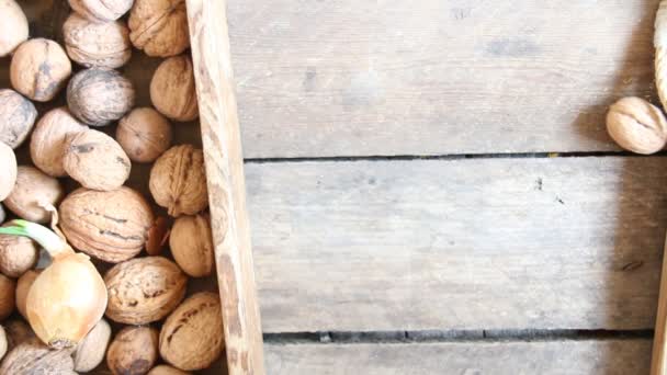 Nueces frescas en una caja de madera — Vídeo de stock