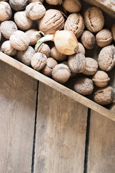 Verse walnoten in een houten doos — Stockfoto