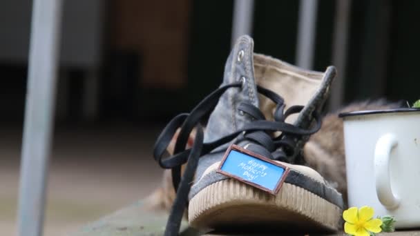 Un zapato y una inscripción Feliz Día de las Madres . — Vídeos de Stock