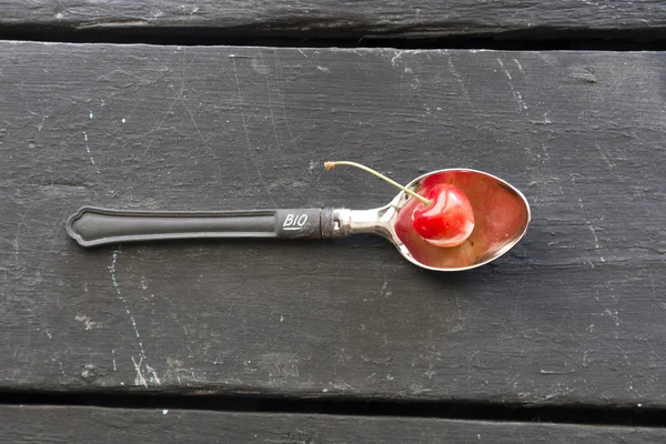 Bio idea de comida — Foto de Stock