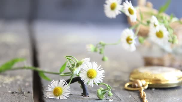 Spring flowers and pocket watch - flower background — Stock Video