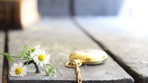 Spring flowers and pocket watch - flower background — Stock Video