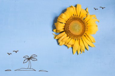 Yaz ya da plaj fikir, Ayçiçeği - güneş