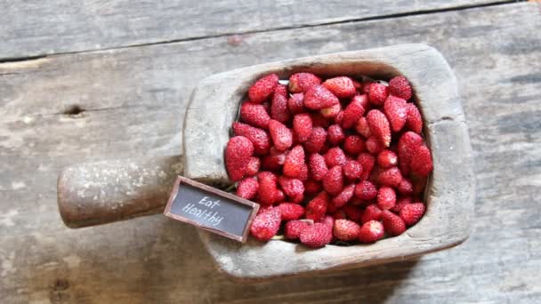 Mangi sano, la fragola e un'etichetta — Video Stock