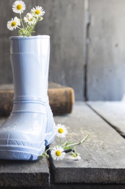 çiçek arka plan, daisy ve eski vintage tablo çizme,