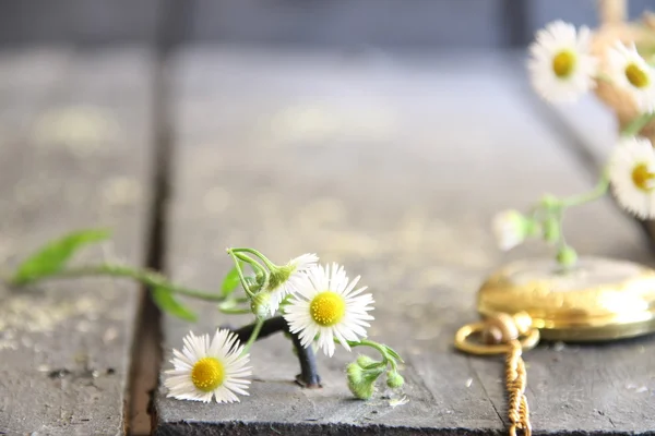 Spring flowers and pocket watch on rustic wooden background — Stock Photo, Image