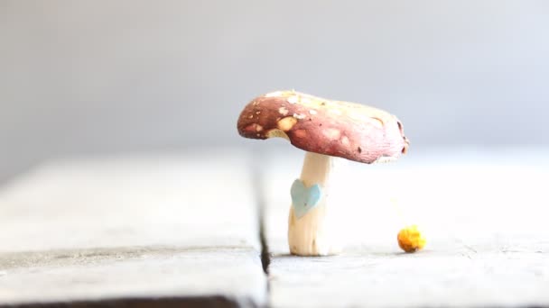 Fond alimentaire, ou carte de vœux, champignons avec cœur — Video