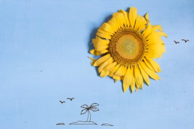 Yaz ya da plaj fikir