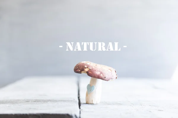 Идея натуральной пищи, текст и грибы — стоковое фото