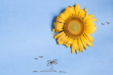 Yaz ya da plaj fikir