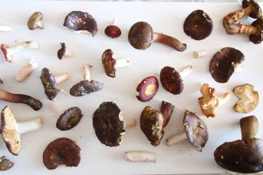 Gıda arka plan - mantar masada