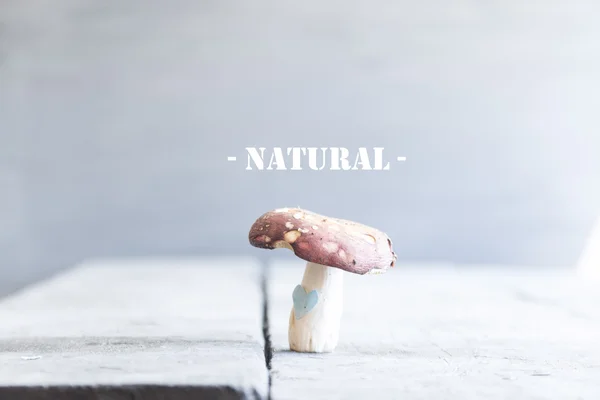 Idea de alimentos naturales — Foto de Stock