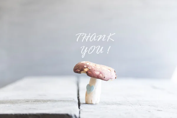 Obrigado, texto e cogumelos — Fotografia de Stock