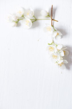 Çiçekli Çerçeve Beyaz ahşap zemin üzerinde. Kopya alanı ile.