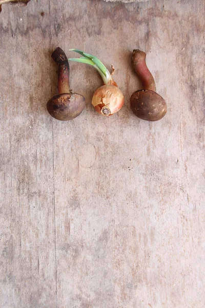 Food background, mushrooms — Stock Photo, Image