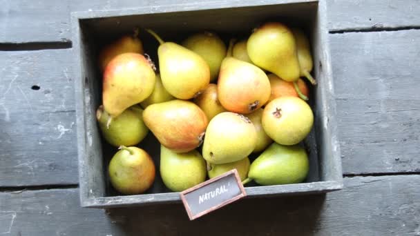 Fresh farmers market fruit - natural text — Stock Video