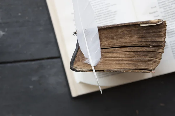 Education and science idea, vintage book and feather — Stock Photo, Image