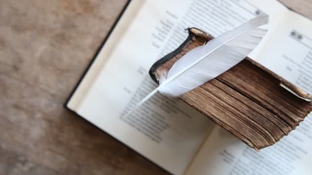 Education and science idea, vintage book and feather — Stock Video