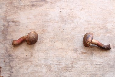 Gıda arka plan, mantar