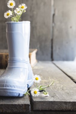 çiçek arka plan, daisy ve eski vintage tablo çizme