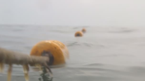 Gele boeien drijvend op de oceaan of meer — Stockvideo