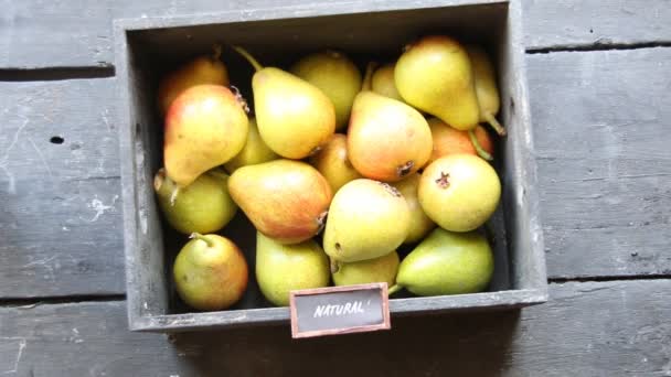 天然产品理念，美味的成熟梨子收获 — 图库视频影像