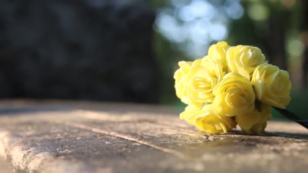 Blommor i en park på en bänk — Stockvideo