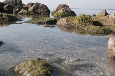 Denizin kenarında kayalık sahil