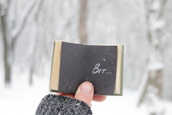 Cold Concept Hand Holds Book Inscription Background Winter Forest — Stock Photo, Image
